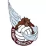 Logo of the Volleyball club Flying Marmots